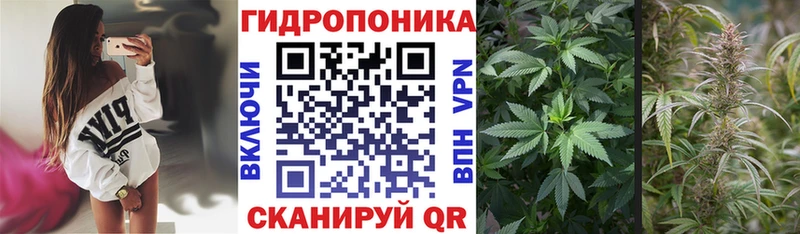 Шишки марихуана Ganja  Уфа 